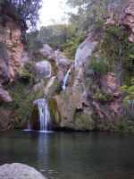 Nido del Águila